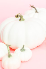 White pumpkins © arinahabich