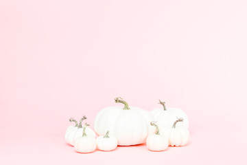 White pumpkins © arinahabich