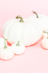 White pumpkins © arinahabich