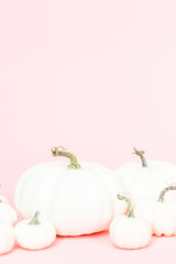 White pumpkins © arinahabich