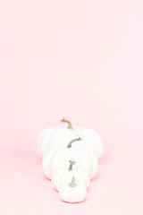 White pumpkins © arinahabich
