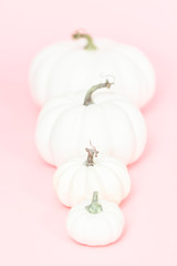 White pumpkins © arinahabich