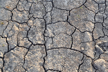 Cracks in the ground. Dry, dehydrated soil. Drought. Ecological catastrophy