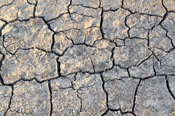 Cracks in the ground. Dry, dehydrated soil. Drought. Ecological catastrophy