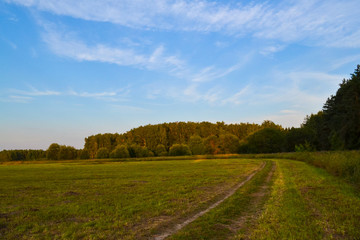 Fototapeta na wymiar Summer landscape. Field and sky with clouds. Russia. Evening