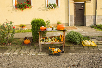 Pumpkins roadside sale. Decorative pumpkins and cucurbit sale by the house. Self-service vegetables sale on the street. Hungary. Sale at the side of the road.