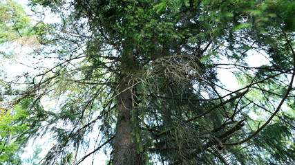 Скоро осень © ly1