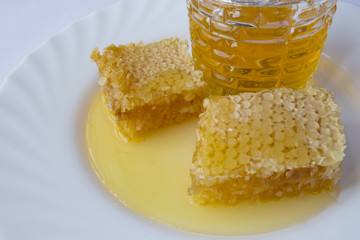honey on white background