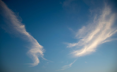 Naklejka na ściany i meble Blue Sky and clouds look like dragons.