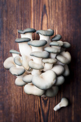 Oyster mushroom or Pleurotus ostreatus on wooden background. Top view. Close up.