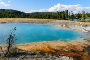 Yellowstone Colors and Brutal Nature