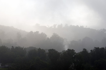 A foggy sky and forest in Malibu hills in California in summer time