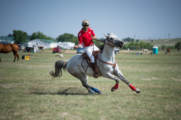 Polocrosse Action Shot