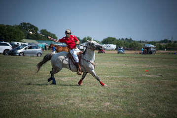 Polocrosse Action Shot