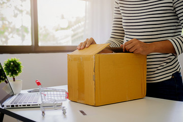 Online shopping concept. Young women receive parcels from online order.