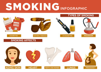 Smoking infographic types and affect on body vector