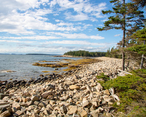Maine coast