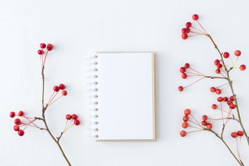 Mockup notebook and branch with small red apples