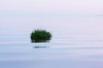 Smooth White Water Surface Background With Grass Island