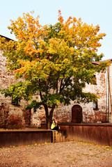 Girl sitting under the maple tree on an autumn day at the castle walls