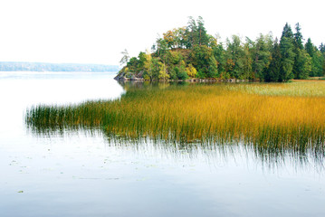 Autumn landscape with lake