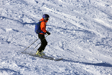 Plakat Skier riding the slope