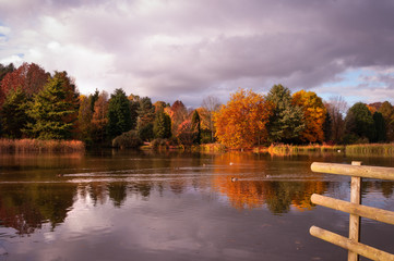 Autumn reflections