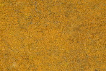 An orange yellow lightly textured surface.