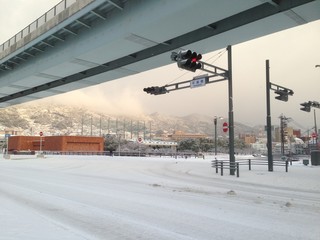 snowy Sasebo