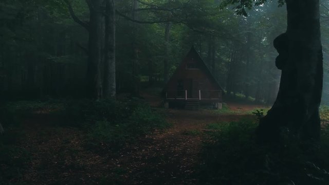 Mtirala national parak in country georgia