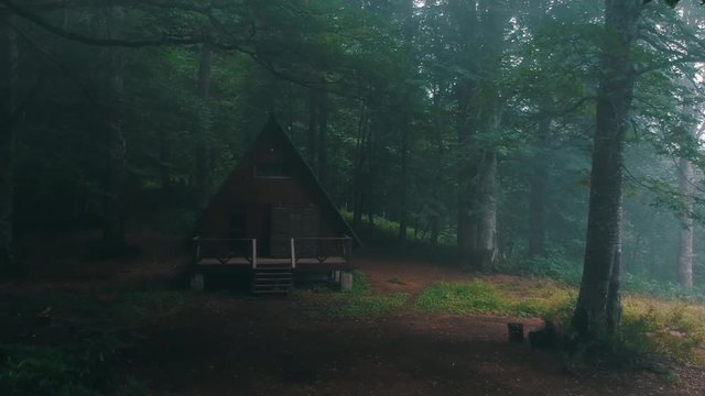 Mtirala national parak in country georgia