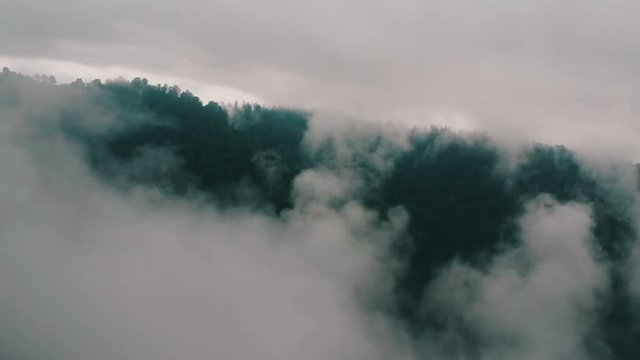 Mtirala national parak in country georgia