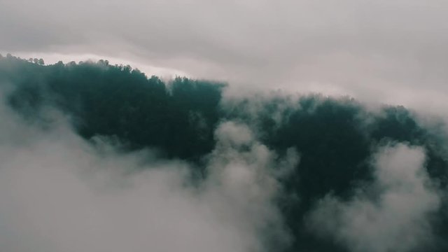 Mtirala national parak in country georgia