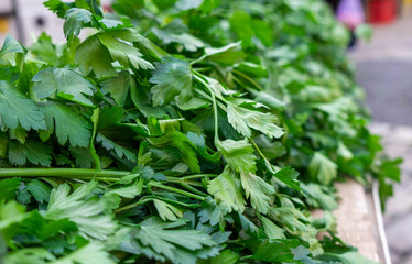 Macro shot of parsley (coriander) leaves sold at local city market