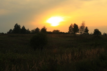 Sunset in the summer field