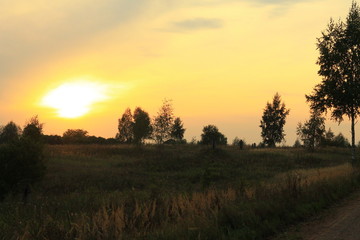 Fototapeta na wymiar Sunset in the summer field