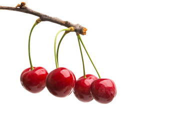 cherries isolated