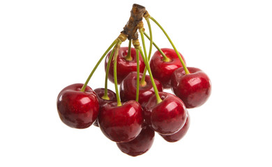cherries isolated
