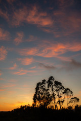 Obraz premium Sunset