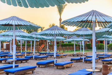 sunbeds and umbrellas on the sandy beach