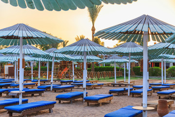 sunbeds and umbrellas on the sandy beach