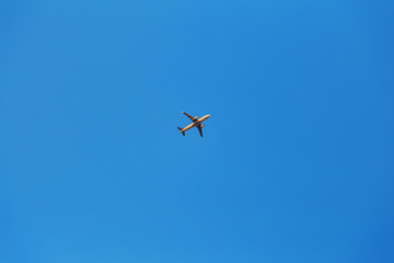 plane flies high in the sky