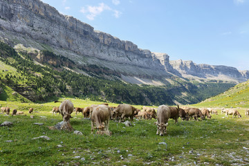 Ordesa national park in Huesca, Spain