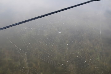 web and string