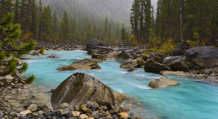 Yoho River flows through spectacular valley in Yoho National Park.