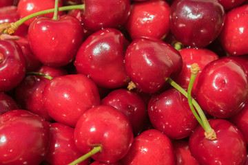 red and juicy cherries on a white plate