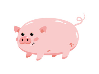 Cute pink pig on a white background
