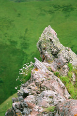 Mountain rock in Caucasus mountains on green grass background at summer. Scenic vertical landscape