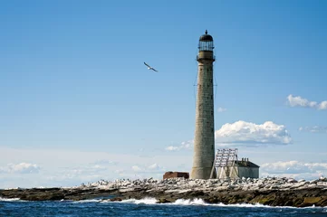 Crédence de cuisine en verre imprimé Phare Seagull Flies By Tallest Stone Lighthouse in New Engand