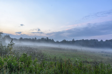 Drive out of town on a foggy autumn morning.